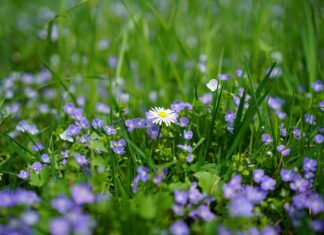 Jakie nagrody dla pracowników?