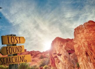 Czym zajmuje się doskonalenie zawodowe? Czym zajmuje się doskonalenie zawodowe?