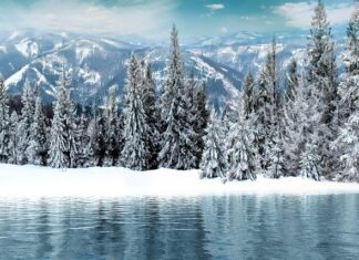 Na co wydać pierwsze pieniądze?