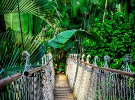 Jakie kursy warto zrobić do CV?