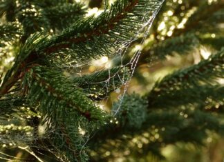 Czym jest potrzeba klienta? Czym jest potrzeba klienta?