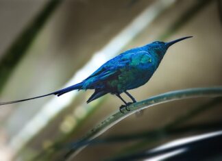 Czy można przesłać skan faktury e mailem? Czy można przesłać skan faktury e mailem?