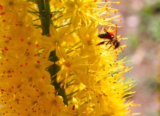 Jak zrobić pattern w Illustratorze? Jak zrobić pattern w Illustratorze?