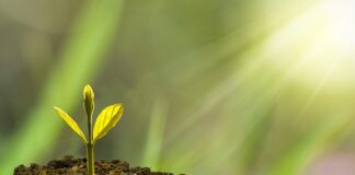 Czym jest rozwój regionalny i jak go zmierzyć?