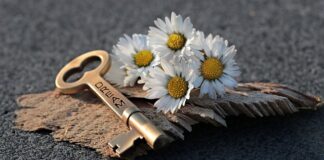 Co to znaczy otworzyć przewód doktorski?