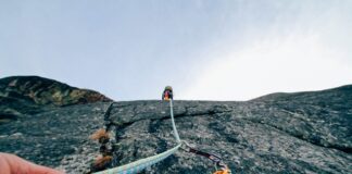 Kto może prowadzić kursy i szkolenia?