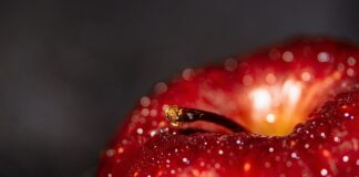 Jakie są korzyści ze stosowania norm?