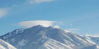 Co to znaczy zbycie nieruchomości?