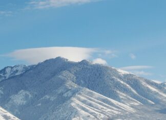 Co to znaczy zbycie nieruchomości?