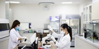 Kto tworzy procedury?