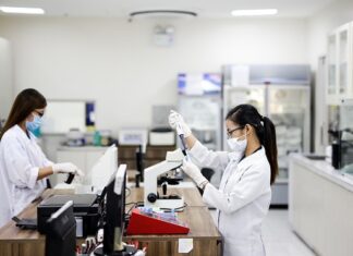 Kto tworzy procedury?