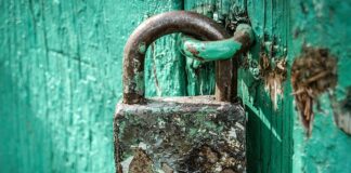 Co oznacza Klodka na LinkedIn?