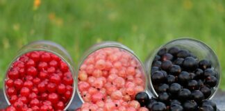 Jaki jest najwyższy stopień naukowy?