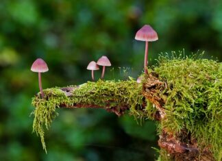 Jakie znasz rodzaje akordu? Jakie znasz rodzaje akordu?