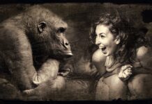 Czy da się grać w Gorilla tag bez VR?