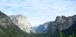 Czy w USA jest ocena E?