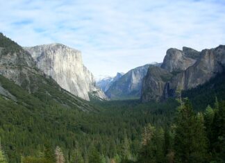 Czy w USA jest ocena E?