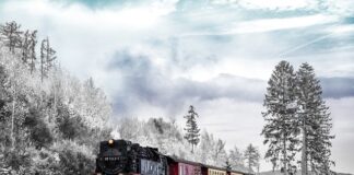 Co to jest transport przesyłowy?