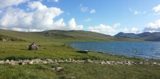 Jakie jest najwyższe wykształcenie?