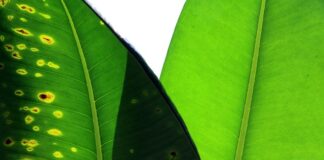 Jak porównać strony internetowe?