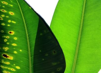 Jak porównać strony internetowe? Jak porównać strony internetowe?