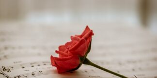 W jakich krajach jest bezpłatna służba zdrowia?