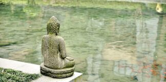 Ile kosztuje inteligentna instalacja elektryczna?